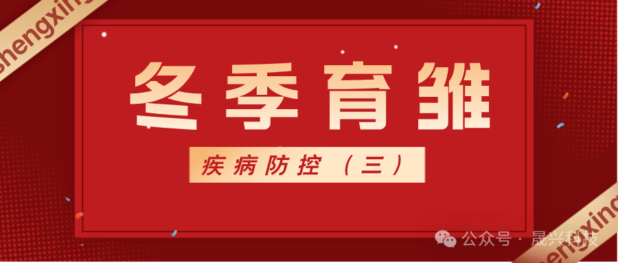 養(yǎng)雞設備 養(yǎng)雞設備